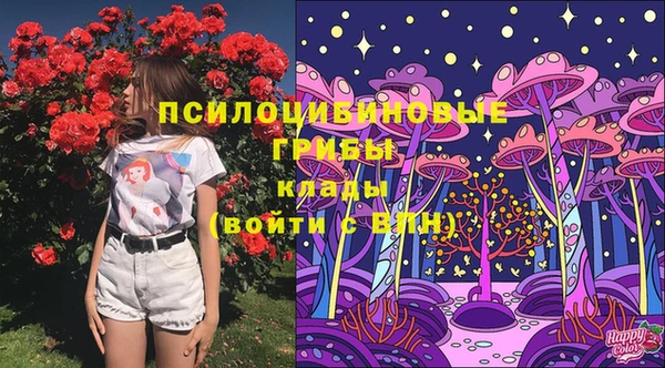 мдма Белокуриха